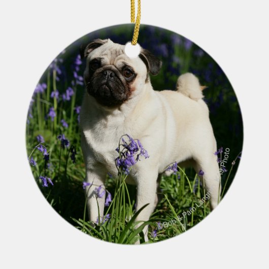 Fawn Pug Permanent in de Bluebells Keramisch Ornament (Voorkant)