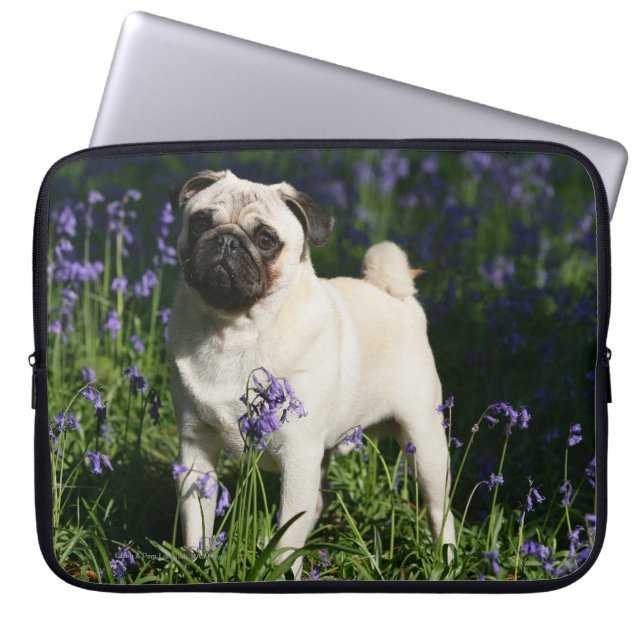 Fawn Pug Permanent in de Bluebells Laptop Sleeve (Voorkant)