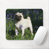Fawn Pug Permanent in de Bluebells Muismat (Met muis)