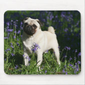 Fawn Pug Permanent in de Bluebells Muismat (Voorkant)
