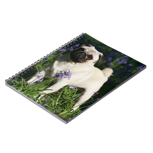 Fawn Pug Permanent in de Bluebells Notitieboek (Linkerzijde)