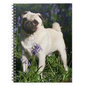 Fawn Pug Permanent in de Bluebells Notitieboek (Voorkant)