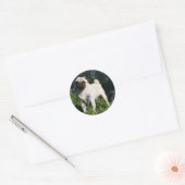 Fawn Pug Permanent in de Bluebells Ronde Sticker (Envelop)