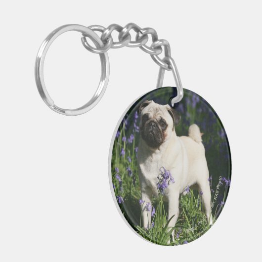 Fawn Pug Permanent in de Bluebells Sleutelhanger (Voorkant Links)
