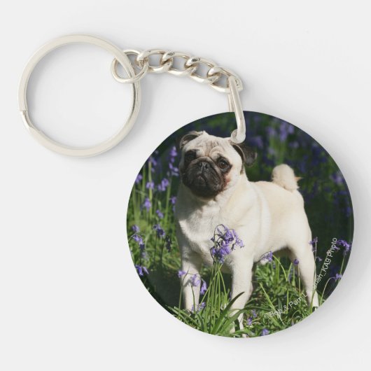 Fawn Pug Permanent in de Bluebells Sleutelhanger (Voorkant)