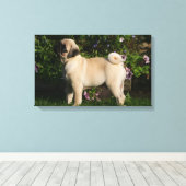 Fawn Pug Profile Canvas Afdruk (Insitu (Houten vloer))