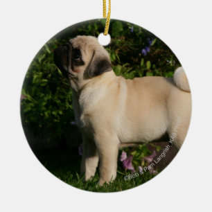 Fawn Pug Profile Keramisch Ornament