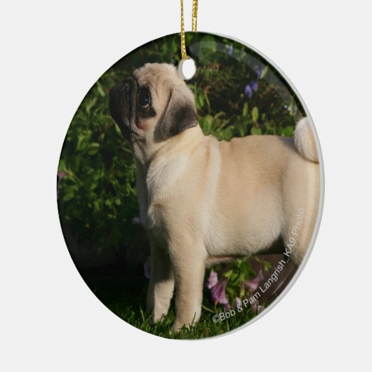 Fawn Pug Profile Keramisch Ornament (Links)