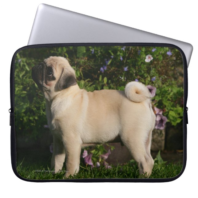 Fawn Pug Profile Laptop Sleeve (Voorkant)