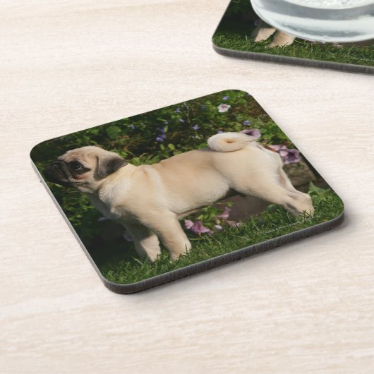 Fawn Pug Profile Onderzetter (Linkerzijde)