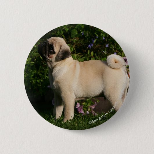 Fawn Pug Profile Ronde Button 5,7 Cm (Voorkant)
