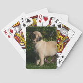 Fawn Pug Profile Speelkaarten (Achterkant)