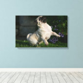 Fawn Pug Puppy Canvas Afdruk (Insitu (Houten vloer))