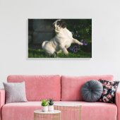 Fawn Pug Puppy Canvas Afdruk (Insitu (Woonkamer))