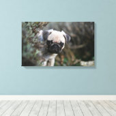 Fawn Pug Puppy Headshot Canvas Afdruk (Insitu (Houten vloer))