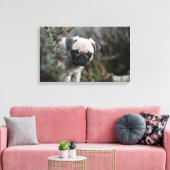 Fawn Pug Puppy Headshot Canvas Afdruk (Insitu (Woonkamer))