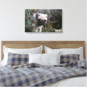 Fawn Pug Puppy Headshot Canvas Afdruk (Insitu (Slaapkamer))