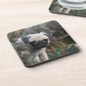 Fawn Pug Puppy Headshot Drankjes Onderzetter (Linkerzijde)