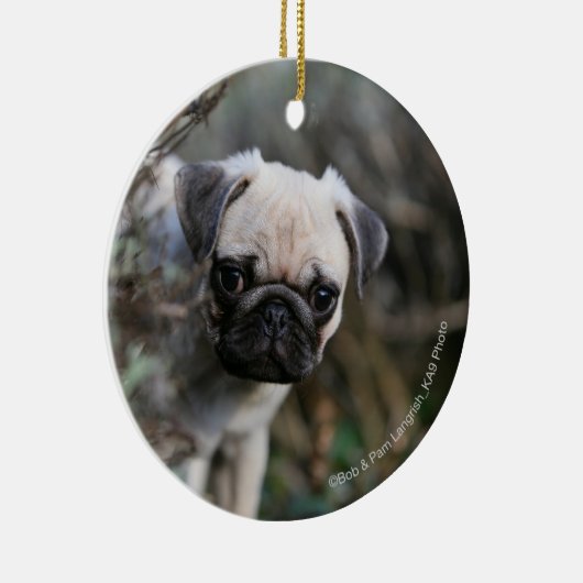 Fawn Pug Puppy Headshot Keramisch Ornament (Rechts)
