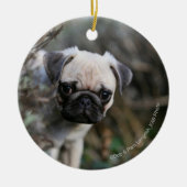 Fawn Pug Puppy Headshot Keramisch Ornament (Voorkant)