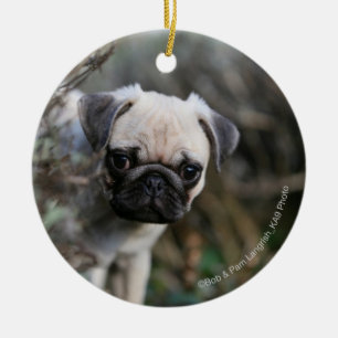 Fawn Pug Puppy Headshot Keramisch Ornament