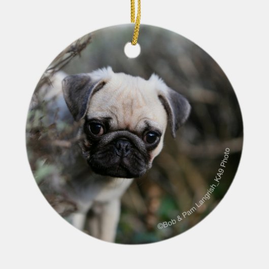 Fawn Pug Puppy Headshot Keramisch Ornament (Voorkant)