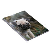 Fawn Pug Puppy Headshot Notitieboek (Rechterzijde)