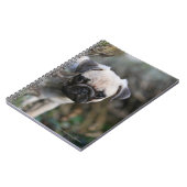 Fawn Pug Puppy Headshot Notitieboek (Linkerzijde)