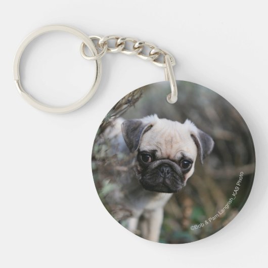 Fawn Pug Puppy Headshot Sleutelhanger (Voorkant)