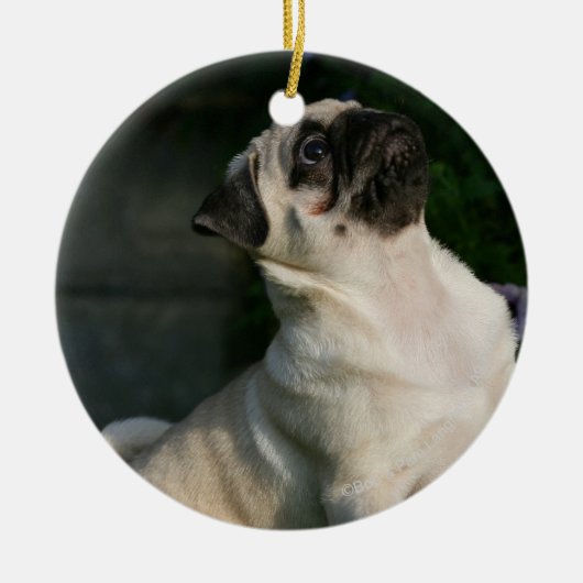 Fawn Pug Puppy Keramisch Ornament (Voorkant)