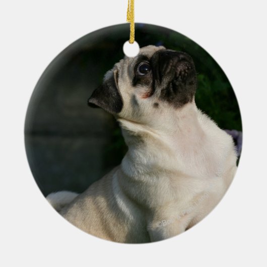 Fawn Pug Puppy Keramisch Ornament (Achterkant)