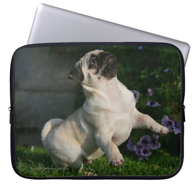 Fawn Pug Puppy Laptop Sleeve (Voorkant)