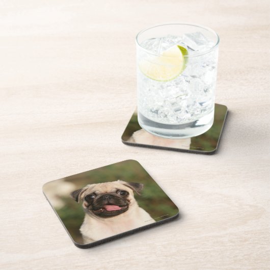 Fawn Pug Puppy Panting Bier Onderzetter (Rechterzijde)