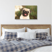 Fawn Pug Puppy Panting Canvas Afdruk (Insitu (Slaapkamer))