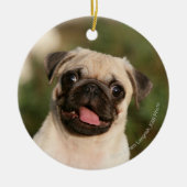 Fawn Pug Puppy Panting Keramisch Ornament (Voorkant)