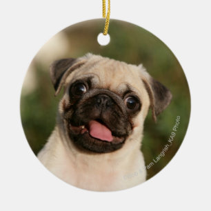 Fawn Pug Puppy Panting Keramisch Ornament
