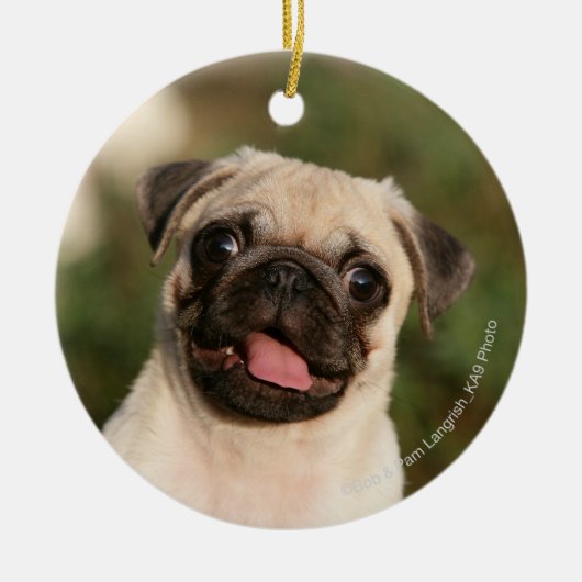 Fawn Pug Puppy Panting Keramisch Ornament (Voorkant)