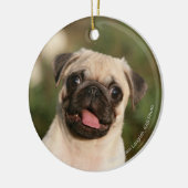 Fawn Pug Puppy Panting Keramisch Ornament (Links)