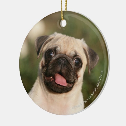 Fawn Pug Puppy Panting Keramisch Ornament (Links)