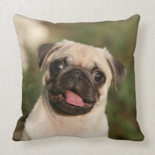 Fawn Pug Puppy Panting Kussen