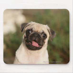 Fawn Pug Puppy Panting Muismat