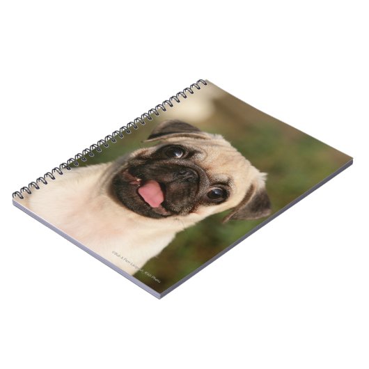 Fawn Pug Puppy Panting Notitieboek (Linkerzijde)