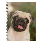 Fawn Pug Puppy Panting Notitieboek (Voorkant)