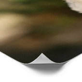 Fawn Pug Puppy Panting Poster (Hoek)