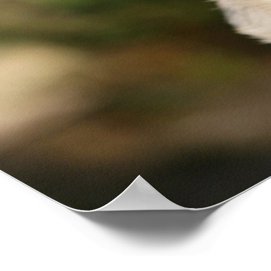 Fawn Pug Puppy Panting Poster (Hoek)