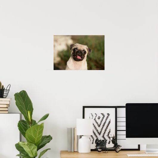 Fawn Pug Puppy Panting Poster (Thuiskantoor)