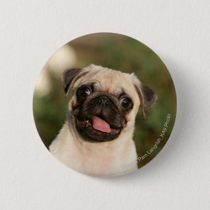 Fawn Pug Puppy Panting Ronde Button 5,7 Cm