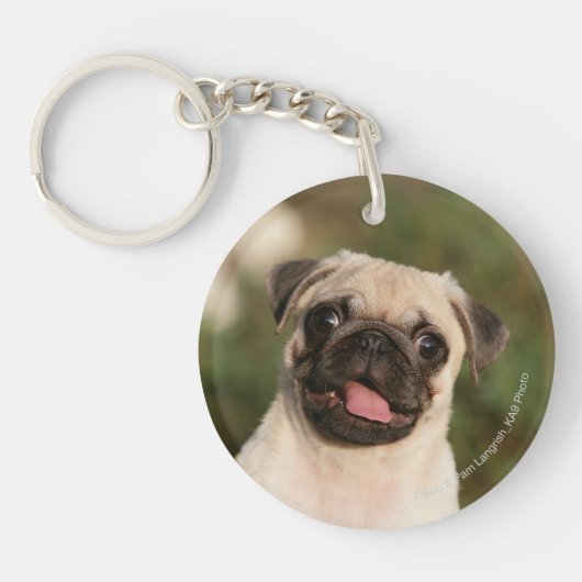 Fawn Pug Puppy Panting Sleutelhanger (Voorkant)