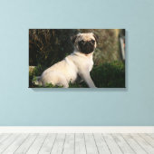 Fawn Pug Puppy Sitting Canvas Afdruk (Insitu (Houten vloer))