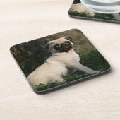 Fawn Pug Puppy Sitting Drankjes Onderzetter (Linkerzijde)